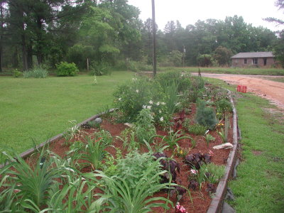 2004 plants 