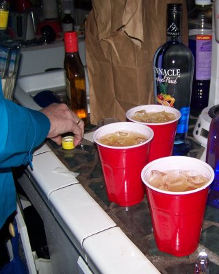 misc 2010 007.JPG