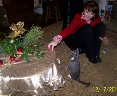 Christmas 2010 067.JPG