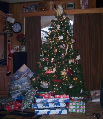 Christmas tree 2009.jpg