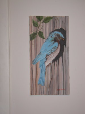 Bluebird.JPG
