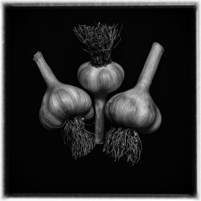 garlic - grown by me and eaten by me