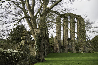 Stately Homes and National Trust Houses