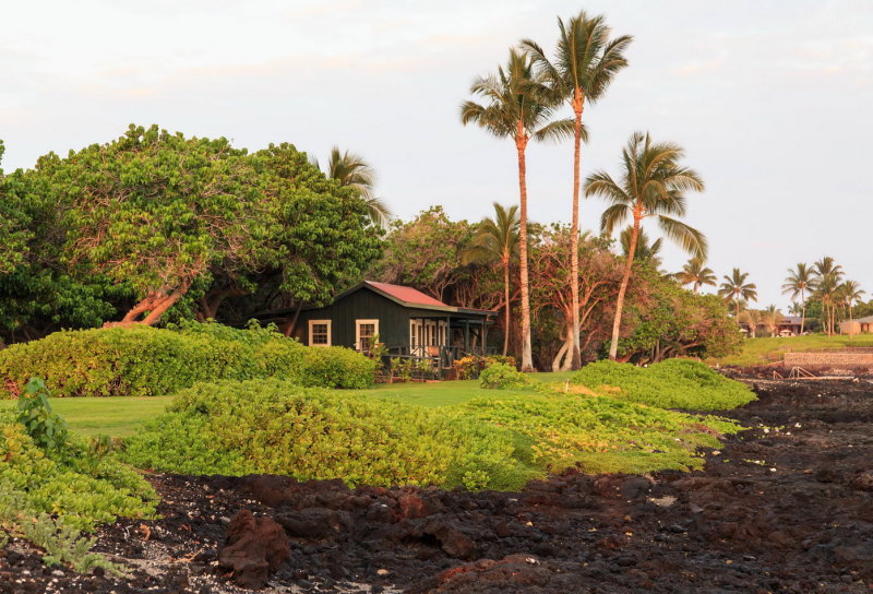 Kohala coast