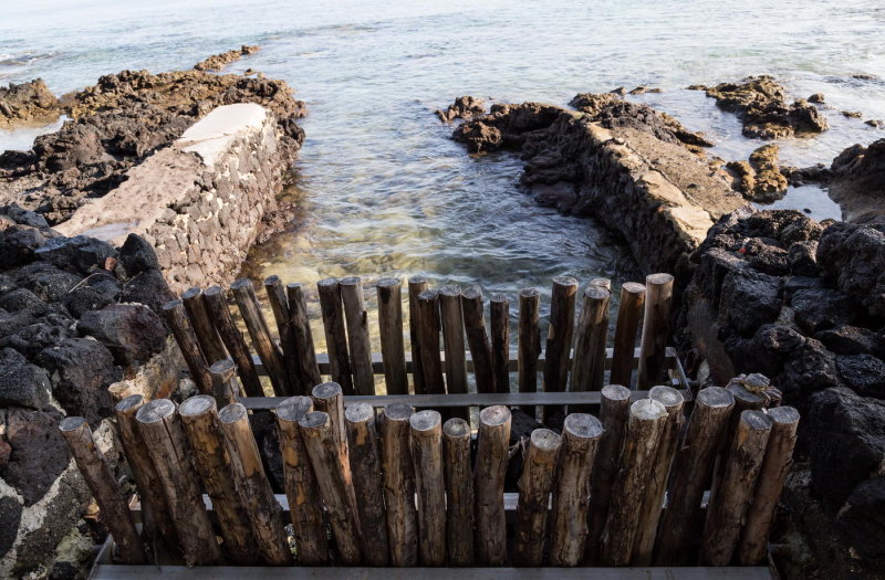Fish gate