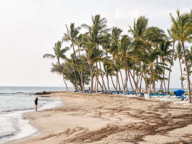 Kohala Coast