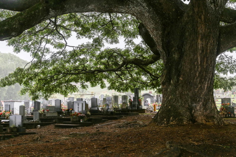 Alae Cemetery