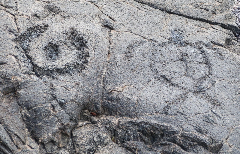 Puu Loa Petroglyph Trail