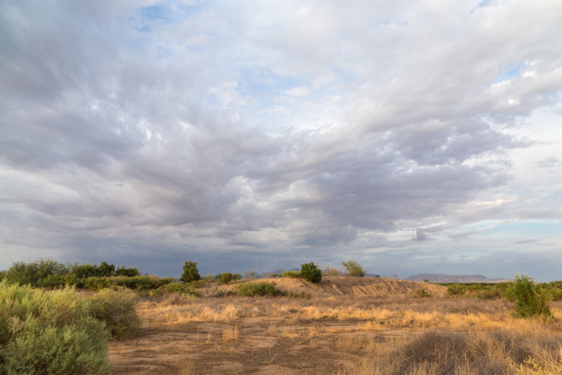 The summer monsoon season began in early July