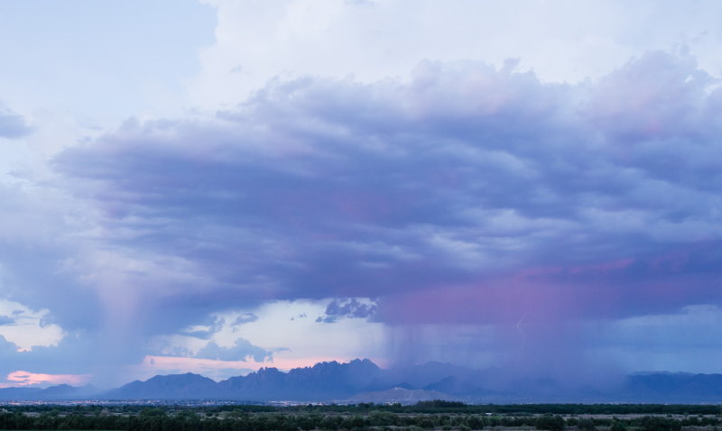 Purple rain