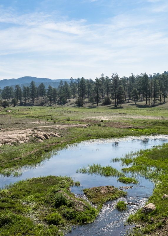 Private land in Gila National Forest