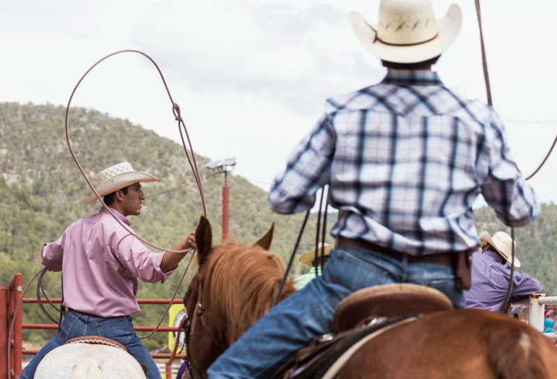 Behind the scene at the rodeo