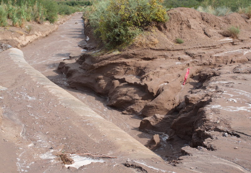 PA210205.jpg