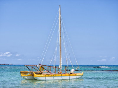 Kohala coast