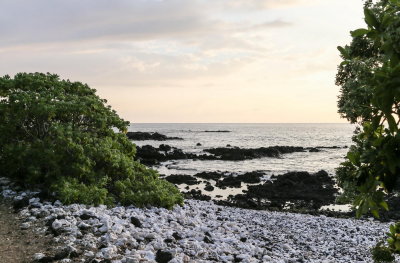 Kohala coast