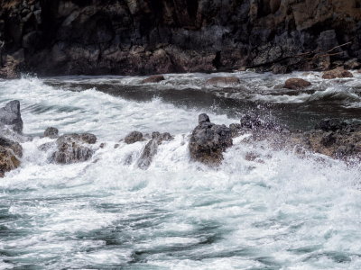 Rugged coastline north of Hilo from Hawaii Tropical Botanical garden viewpoint