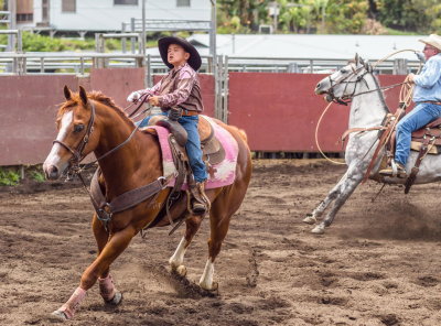 Team roping -- the agony of defeat