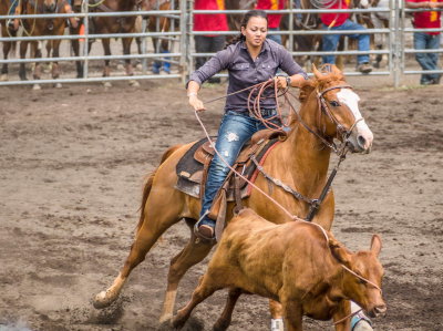 Rodeo in Honoka'a