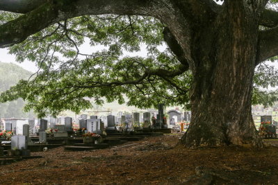 Alae Cemetery