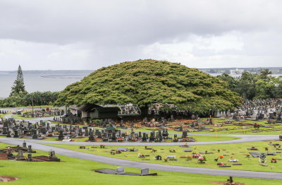 Alae Cemetery - Hilo in background