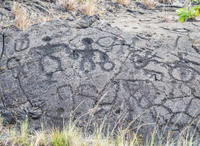 Pu'u Loa Petroglyph Trail