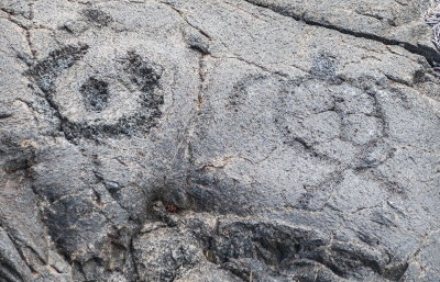 Pu'u Loa Petroglyph Trail