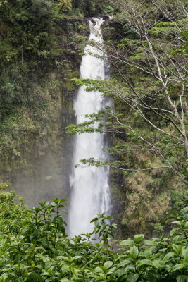 Akaka Falls