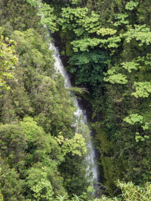 Akaka Falls