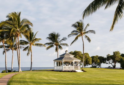 Kohala Coast