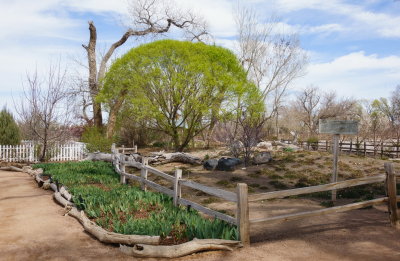 Albuquerque Botanic Garden