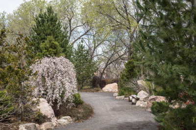 Albuquerque Botanic Garden