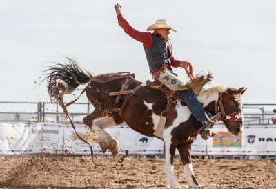 Many riders are unable to remain on the horse for the mandatory 8 seconds - but this rider was successful