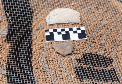 Pottery sherds found at the site