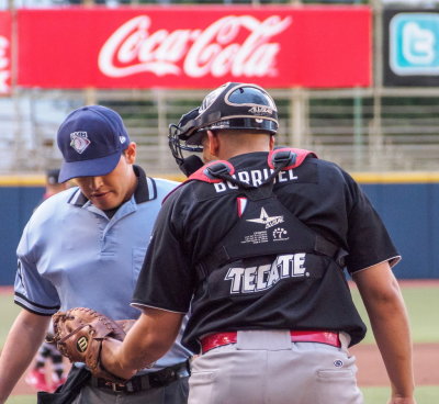 Oaxaca Guerreros Baseball (AAA minor league)