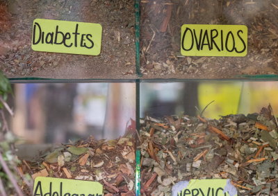 Oaxaca market - herbal remedies