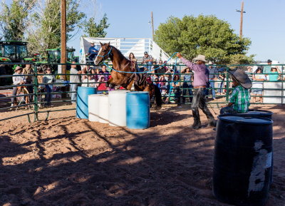 Horse trainer - Southern New Mexico State Fair