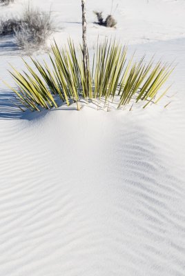 White Sands in Color