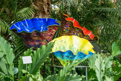 Chihuly glass - Phipps Conservatory