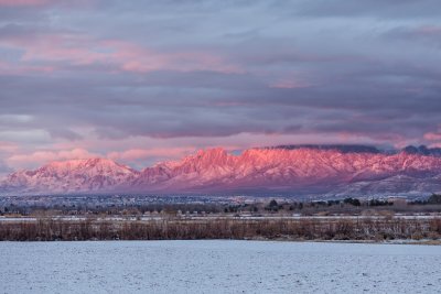 The Mesilla Valley, at an elevation of about 4000', usually gets a few days of light snow accumulation each winter