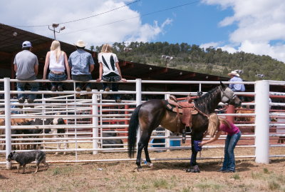 Behind the scene at the rodeo