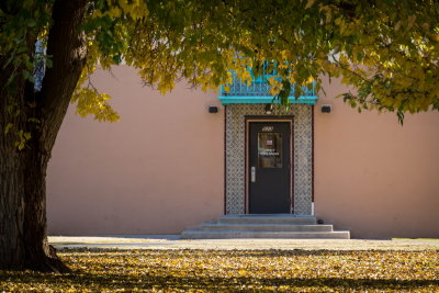 New Mexico State University