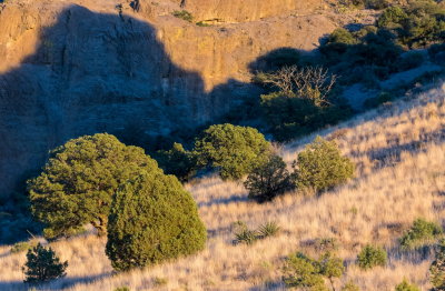 Organ Mountains National Monument