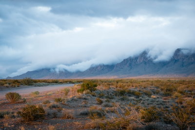 Organ Mountains, NM (2013-15)