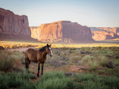 Monument Valley, AZ