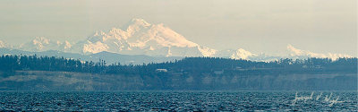 Mt. Baker behind Whidbey Island
