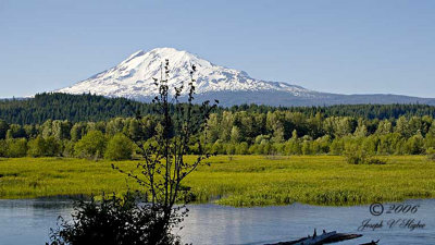 Mt. Adams across Trout Lake