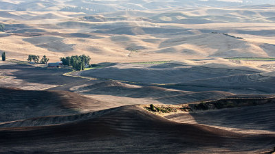 September Palouse