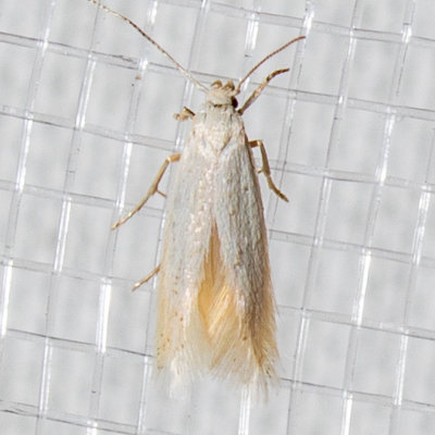 g9/56/255356/3/163939051.z12udOEC.jpg