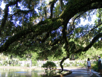 DSCF3210.JPG