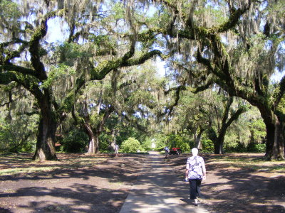 DSCF3211.JPG